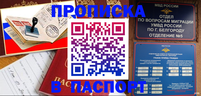 купить прописку в Кандалакше